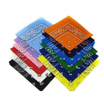 Assorted 12PK Bandanas